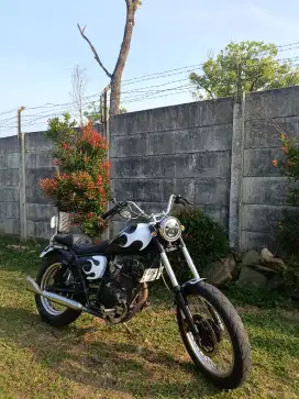 Motor Custom Bobber