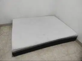 Kasur Zinus tebal 25 cm ukuran 180x200 (Bekas - 2 tahun masa pakai)