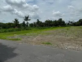 Tanah Jogja Harga Murah View Sawah, Dekat Kopi Klothok