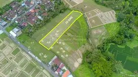 35 ARA LAND FOR FREEHOLD SALE IN KABA-KABA – SC155