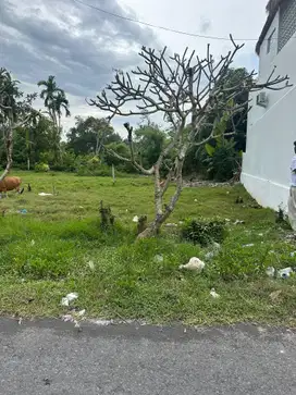 Dijual tanah plot kecil jalan kaki kepantai Jumpai