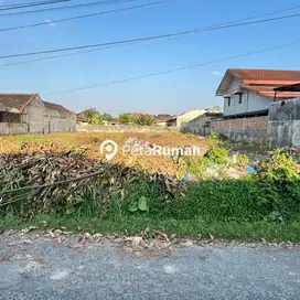 DIJUAL TANAH JALAN BUNGA TANJUNG XI - DAERAH RINGROAD (RICKY ANTONIO)