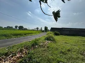 Tanah Murah Kaliurang Sleman, Lingkungan Asri