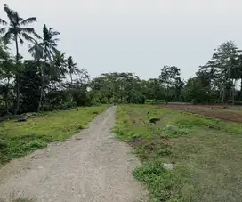Jual Tanah Murah Boyolali, 200 meter Puskesmas Mojosongo