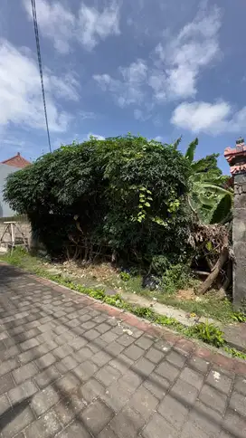 Dijual Tanah Plot Kecil 200m2 di Jl Bukiy Hijau Jimbaran