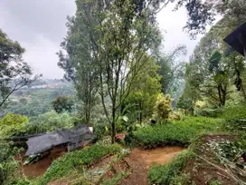 Tanah bertuan ciwaruga