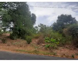 Tanah 9,25 Hektar Di Kubutambahan Buleleng Bali