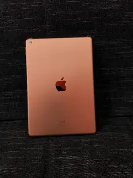 Ipad gen 7 32gb wifi only