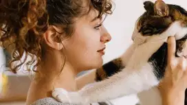 CAT SITTER PERAWAT KUCING