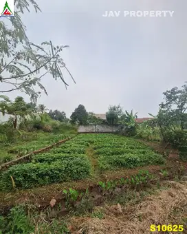 Dijual lahan akses bagus cocok untuk villa di Bogor