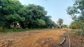 Tanah Kavling Dekat Sekolah Tinggi Tehnologi Muhammadiyah