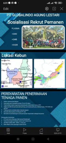 Loker perkebunan kelapa sawit bagian perawatan dan pemanen