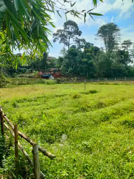 Tanah 600+ m,cocok untuk Rumah,Perkebunan dan Ternak