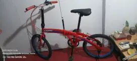Seli exotic 20 inch