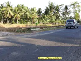 Hanya 1 Jt-an Area Tajurhalang Dekat Jalan Bomang Harga Terjangkau