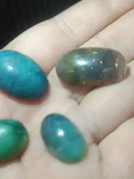 Bacan dan kalimaya borongan