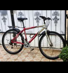 Dijual Murah! Sepeda Wim Cycle Road Tech