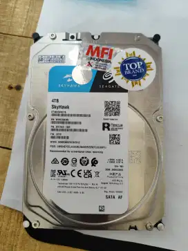 Hardisk CCTV Seagate SkyHawk 4 TB