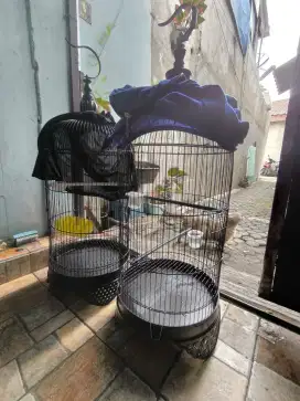 Kandang burung lovebird / kandang kapsul
