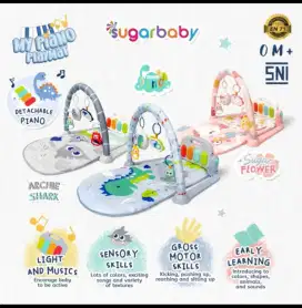 Playgym sugar baby