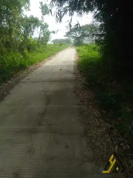 Lahan Industri Klaten sangat luas lokasi pusat kota luas 6685m