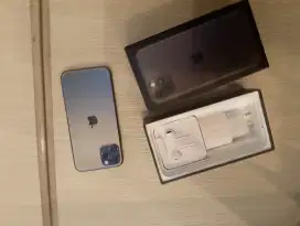 Iphone 11 pro max 256gb warna green sih