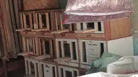 Gupon merpati bekas ukuran 40X40