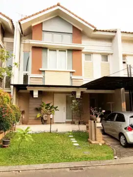 mexicano delatinos bsd city