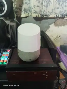 SPEKER GOOGLE HOME
