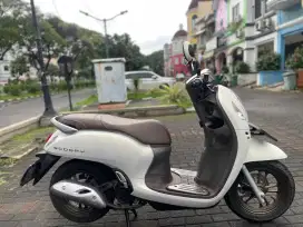 Scoopy prestige (2024) ‼️low km 2k‼️