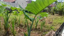 KAVLING TERMURAH PERUMAHAN RIUNG BANDUNG