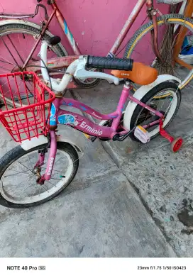 Sepeda anak murah siapa cepat dia dapat