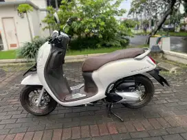 Scoopy prestige (2024) ‼️low km 2k‼️
