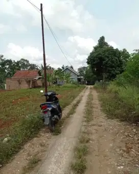 Tanah murah lampung