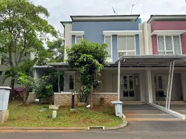 Thompson Hook Summarecon Gading Serpong
