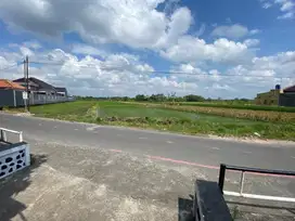 Dijual Tanah Sawah Produktif SHM a/n sendiri