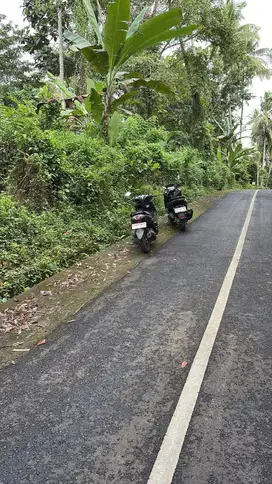 Jual tanah kerambitan tabanan