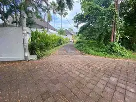 LANGKA DI JUAL TANAH LUAS DI PANTAI PERERENAN BALI  KJN043