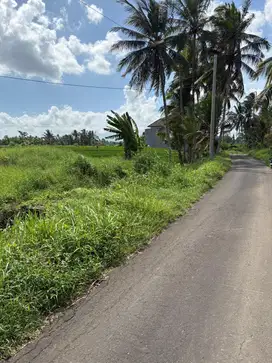 Jual tanah kerambitan tabanan