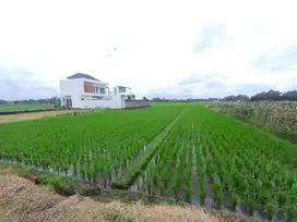 Tanah Pantai Kelating Tabanan Bali