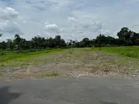 Tanah Murah Belakang Kampus UII Jogja, Lingkungan Asri