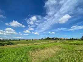 Tanah Kavling dengan zona kuning dan view sawah yg asri