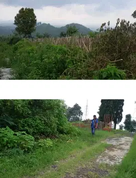 BUTUH TANAH UNTUK USAHA GLAMPING CIATER? TANAH INI COCOK!