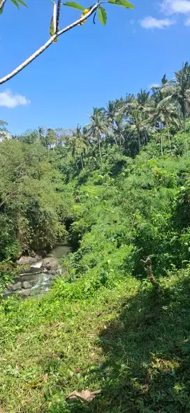 Freehold land ubud center 5 Hektar