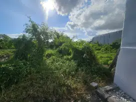 dijual tanah komersil lokasi canggu