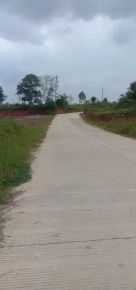 Tanah 10 H Lamaru