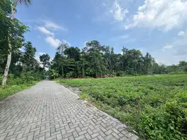 Tanah Jogja Utara, Lingkungan Kos Premium