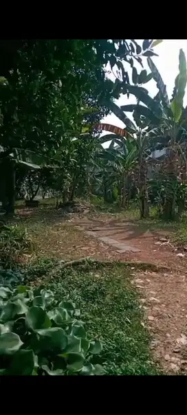 disewakan tanah plus rumah kosong ditangsel