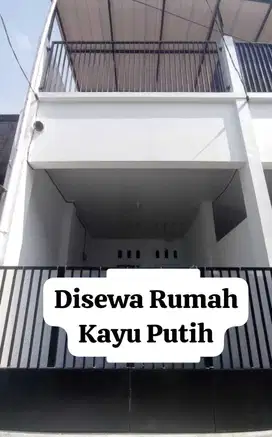 Rumah Sewa Minimalis di Kayu Putih Jakarta Timur