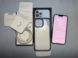IPHONE 13 PRO MAX 1 TB
